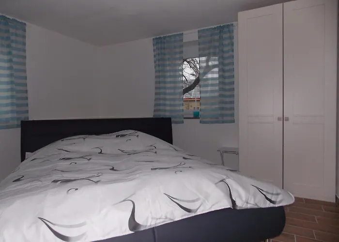 Hofmann Strueth 3 *